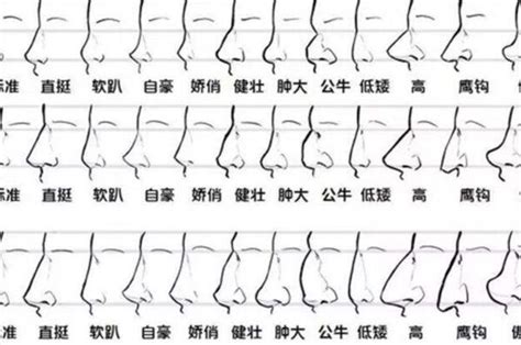 鼻子面向|相学最有福气的7种鼻子 面相中最有福气的7种鼻子